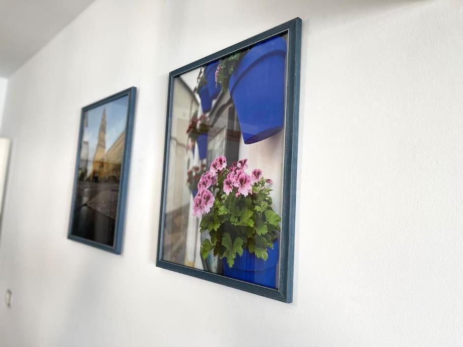 Apartamento Centrico Urbano Con Terraza Cordova Esterno foto